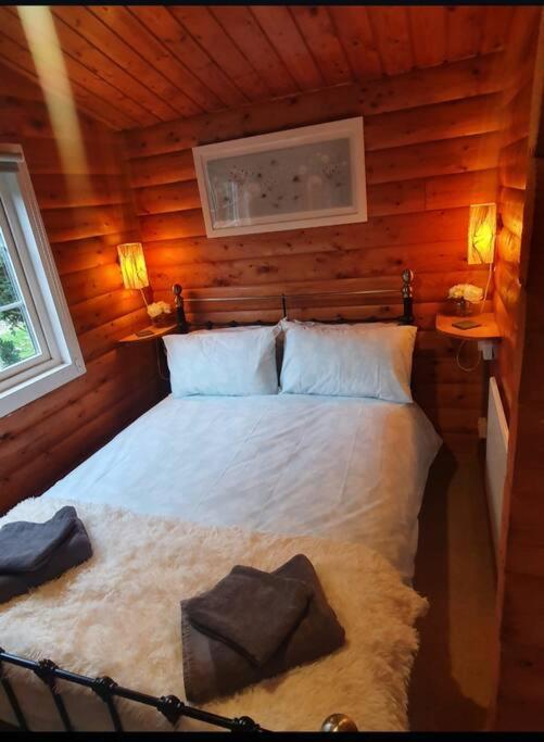 Cosy Cabin In Snowdonia With Views Wi-Fi Dog Friendly & Parking Trawsfynydd 외부 사진