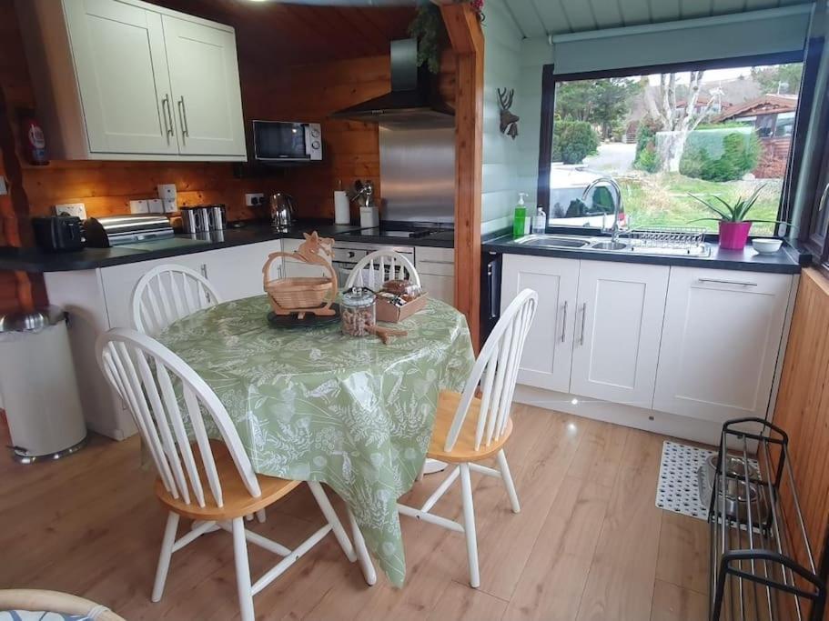 Cosy Cabin In Snowdonia With Views Wi-Fi Dog Friendly & Parking Trawsfynydd 외부 사진