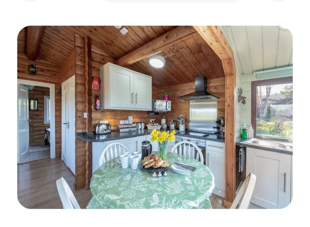 Cosy Cabin In Snowdonia With Views Wi-Fi Dog Friendly & Parking Trawsfynydd 외부 사진