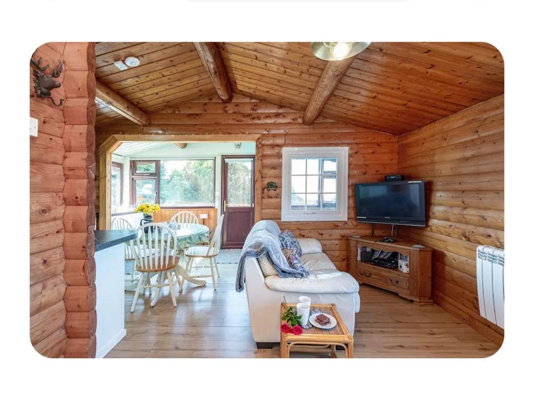 Cosy Cabin In Snowdonia With Views Wi-Fi Dog Friendly & Parking Trawsfynydd 외부 사진