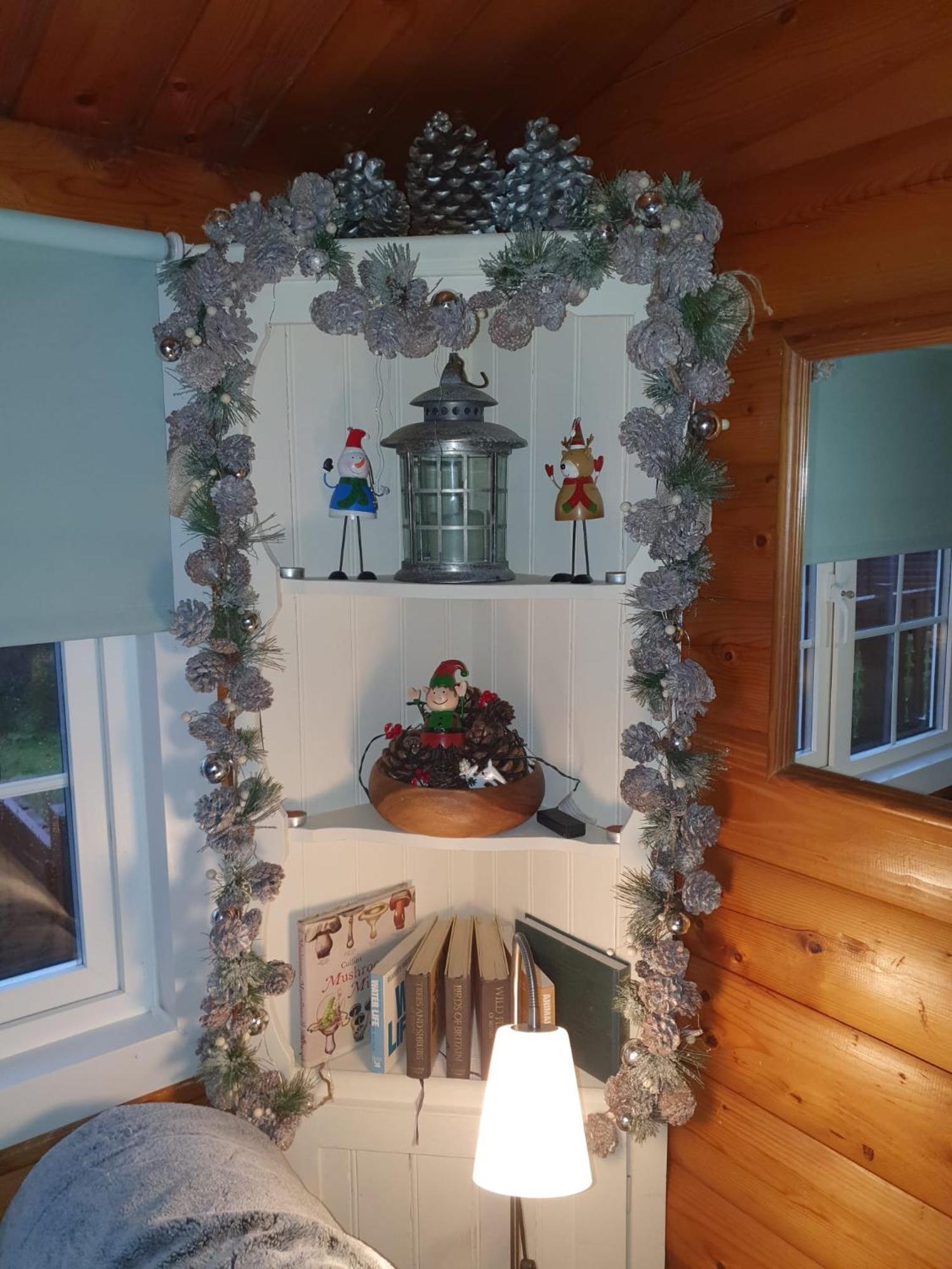 Cosy Cabin In Snowdonia With Views Wi-Fi Dog Friendly & Parking Trawsfynydd 외부 사진